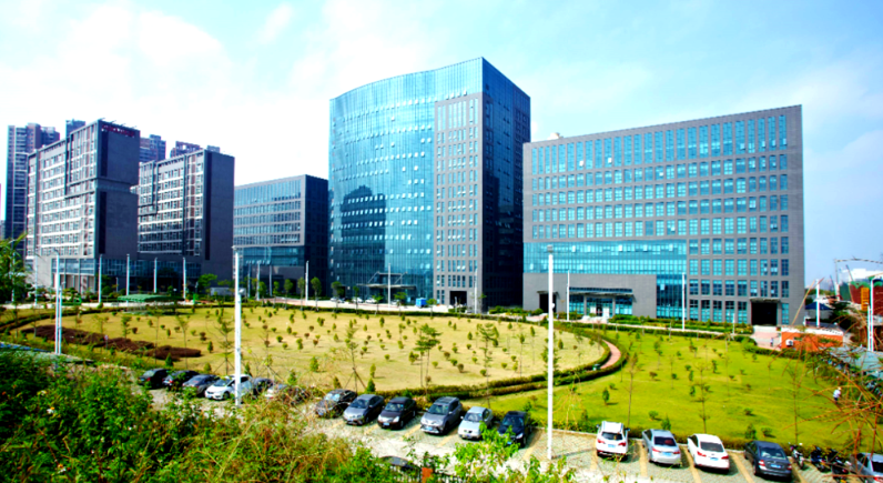 从船员招生到船舶管理：德洋国际分享高素质船员梯队建设思路