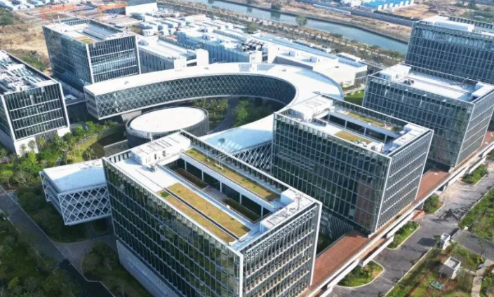 国际船舶管理服务对比：德洋船舶管理与其他机构有何不同